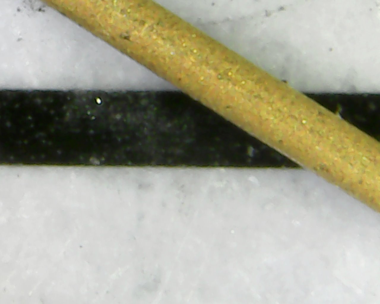 Gold coated optical fibers